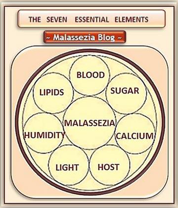 Malassezia 7 Essential  Elements MB