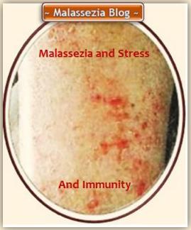 Malassezzia Stress-Immunity 1 MB