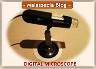 Digital Microscope1 MB