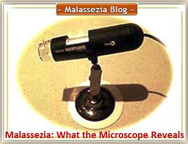 Digital Microscope2 MB