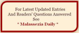 Malassezia Daily - UPDATES