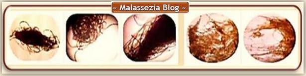 Malassezia photos1 MB