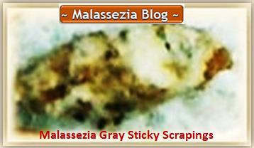 Malassezia  Sticky Layer rub-offs2 MB